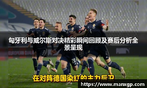 匈牙利与威尔斯对决精彩瞬间回顾及赛后分析全景呈现